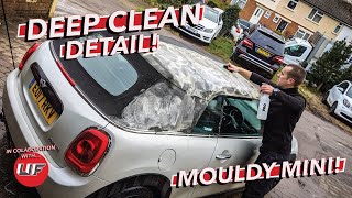 Deep Clean Detail | MOULDY MINI | How to Clean a Convertible roof! screenshot 3