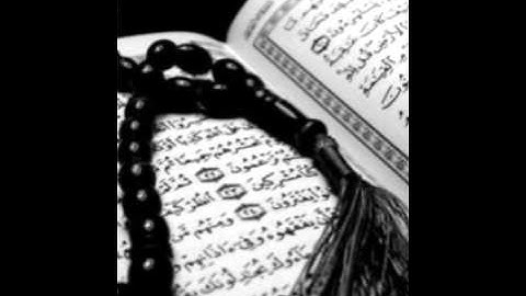 ياسر الدوسري سورة القلم