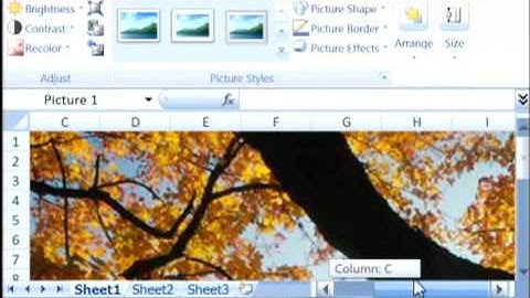 General Computer Tips : How to Create an Input Box in Excel VBA