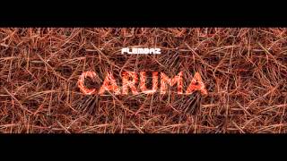 Flembaz - Caruma Album Mix [Blind Arc]