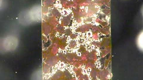 Packed trickle-bed microreactor