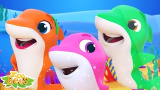 Baby Shark and Donut Song | Music Children  Kids Songs and Nursery Rymes with Zoobees