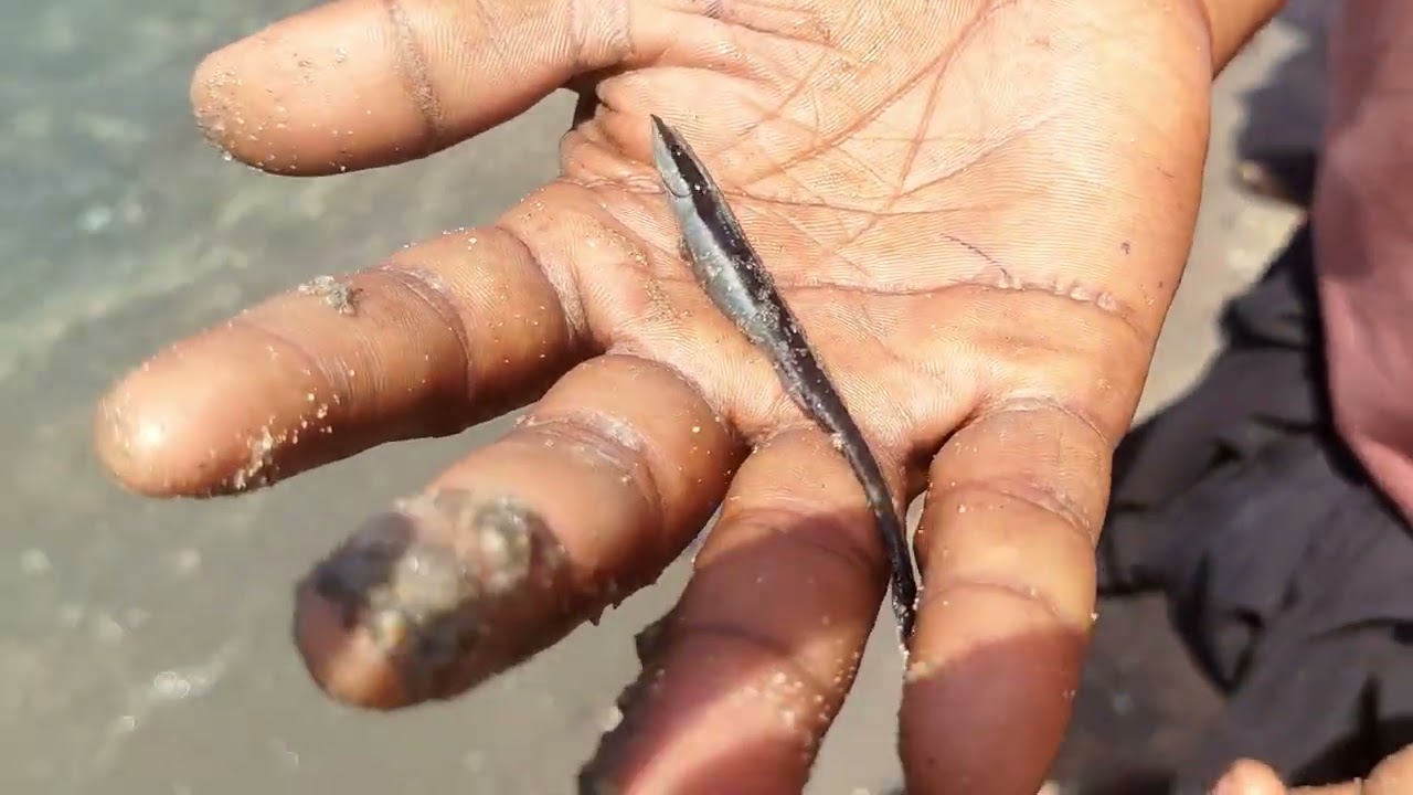 தம்பி எவ்ளோ அழகா திருவன் மீன் புடிச்சிட்டான் பாருங்க மக்களே 👍