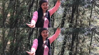 NUMBERDARA|| Return Of Nati Express || New Himachali Dance Video|| Song By Babloo Rapta