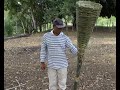 Como fazer ARMADILHA para TRAÍRA e BAGRES de forma ARTESANAL