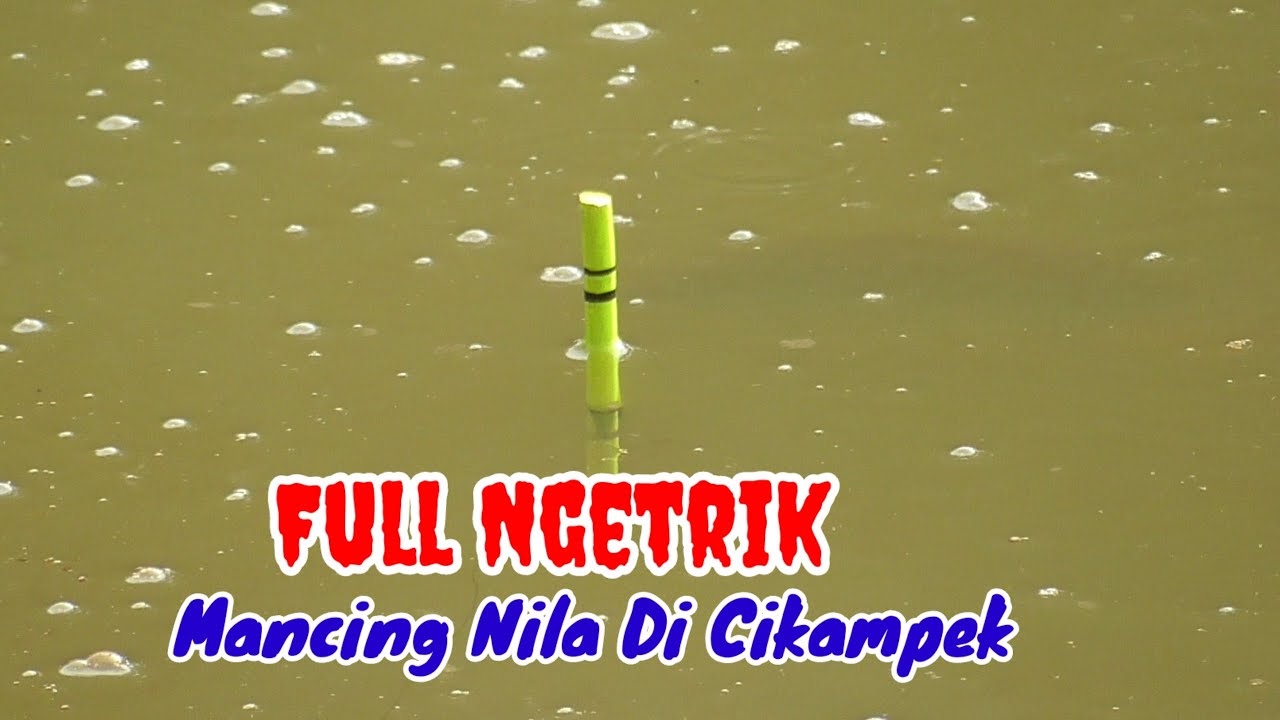 MANCING BORONGAN NILA 8 JUTA DI CIKAMPEK