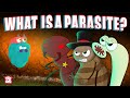PARASITE What Is A PARASITE Biology For Kids The Dr Binocs Show Peekaboo Kidz 