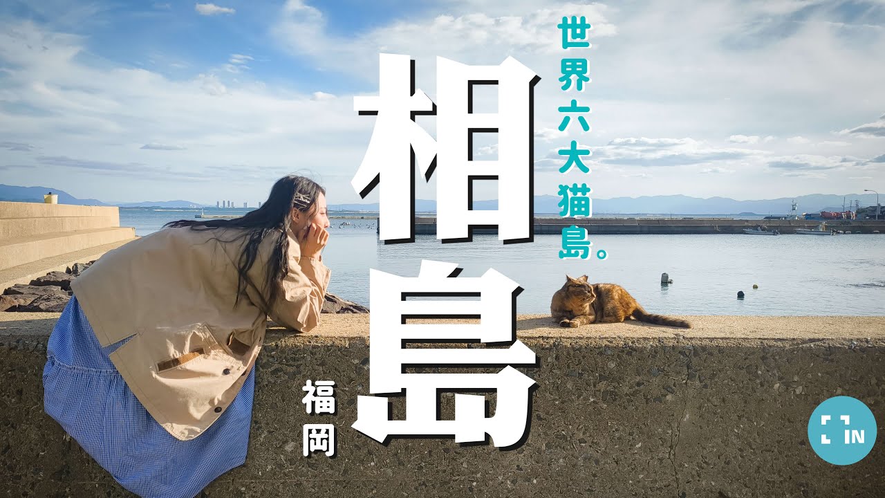 【FUKUOKA INSIDER】福岡跳島行，世界六大貓島的真正秘密：相島的隱藏板前料理｜Cat Island. Hidden Sushi. Unforgettable