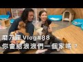 磨刀霍Vlog#88｜領養代替購買｜養牠是一輩子的事