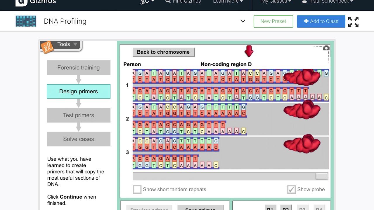 How To Design Your Primers Dna Profiling Gizmo Youtube