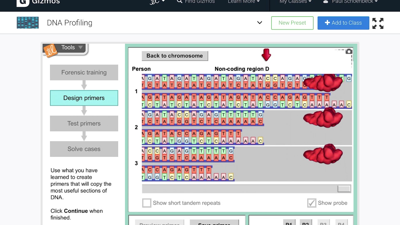 Gizmos Student Exploration Dna Profiling Answer Key : Board