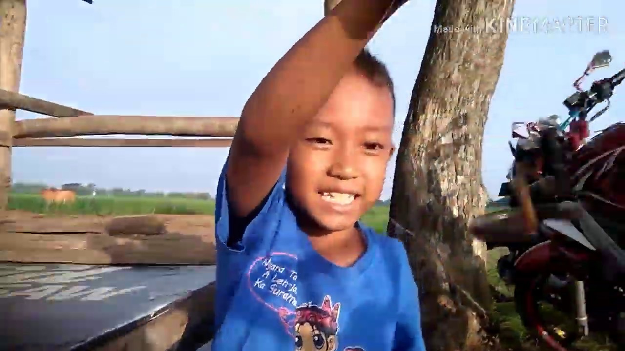 MANCING BELUT sawah, percobaan berhasil... 