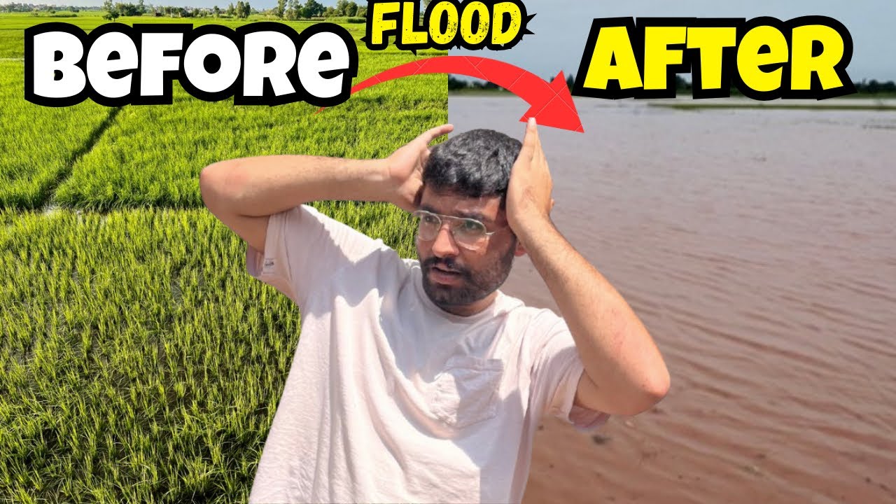 Darya ke saath nala b aa gya ⛈️🌊