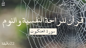 قرآن للراحة النفسية والنوم | سورة العنكبوت