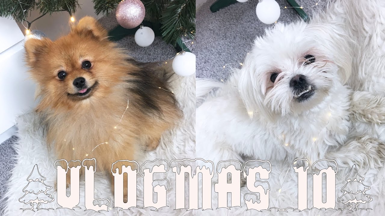 DUŻO GADANIA I PIESŁY PO KĄPIELI | VLOGMAS #10