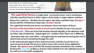 abdominal wall  شرح المحاضره 10 تشريح نضري جدار البطن