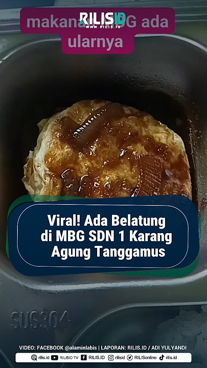 Viral! Maggots Found in the MBG of SDN 1 Karang Agung Tanggamus Elementary School