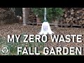 Őszi hulladékmentes kerti munkák - My zero waste fall garden