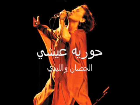    حورية عيشي الحصان و الليدي