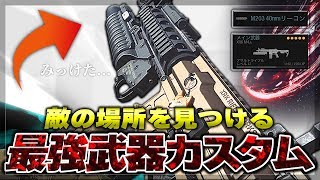 【COD:MW】最強武器カスタムは『敵を探し出す』事が出来る【視聴者リクエスト】