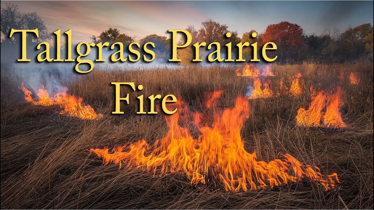 The Burn: A Cinematic Portrait of Fire in the Tallgrass Prairie