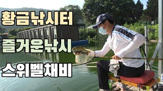 스위벨채비, 찌맞춤과 향붕어낚시-경기 포천 황금낚시터(2021.07.15)