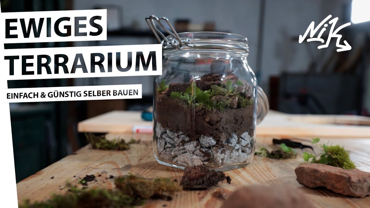 Ewiges Terrarium selber bauen! Flaschengarten für die Wohnung YouTube
