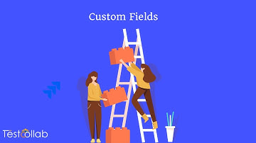 Custom fields management