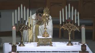 Holy Mass - Wednesday of the Fourteenth Week in Ordinary Time; plus Holy Hour (07/08/26; 05:30 pm)