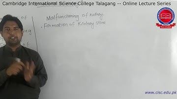 Pre-9th - [Science] - Lecture#1 - Muhammad Imran - CISC Online Lecture Series