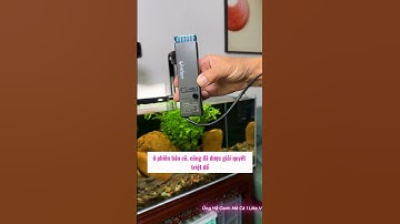 Anh em thuỷ sinh chơi muốn mặt nước trong veo như gương thì không thể bỏ máy này  #oanhmeca  #setup