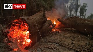 Brazilian troops deployed to battle Amazon fire