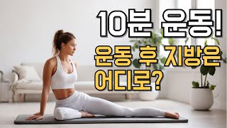 지방 태우기의 과학 : 다이어트한 당신의 지방은 어디로 갈까?