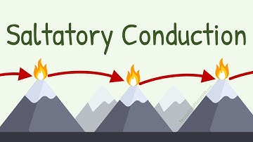 Saltatory Conduction with Analogy of Lighthouse
