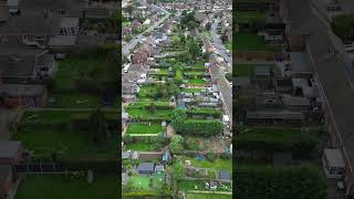Garden drone footage
