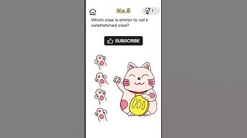 Brain Out Level 5 / No.5 – It