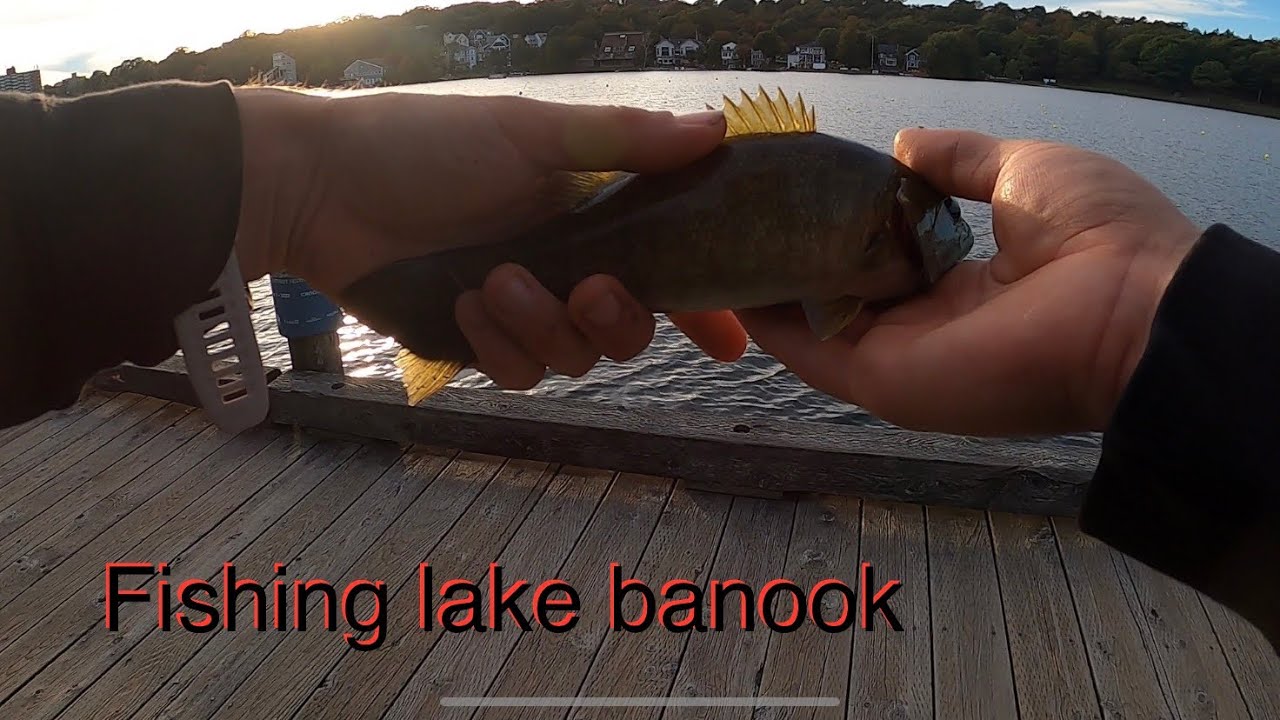 Quick fishing session at lake banook Dartmouth NS YouTube