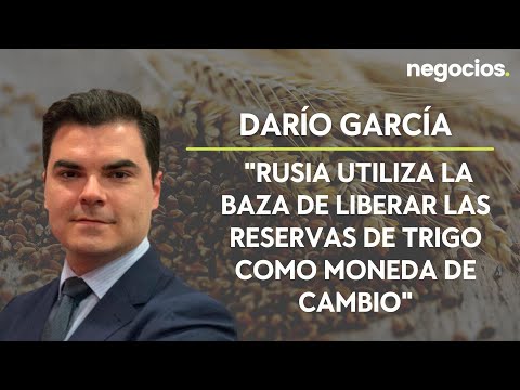 Dar&iacute;o Garc&iacute;a: "Rusia utiliza la baza de liberar las reservas de trigo como moneda de cambio"