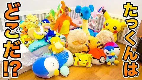 ポケルンスタッフ ポケルンスタッフ