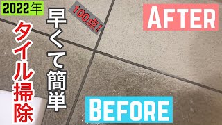 【一条工務店】サンポールを使わない玄関タイルの掃除
