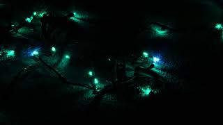 Dazzle 5mm Green With Pure White Strobe Lights