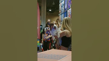 Preview of Quakecon 2023. One of gaming’s hottest events of the year. #quakecon #gamer #videogames