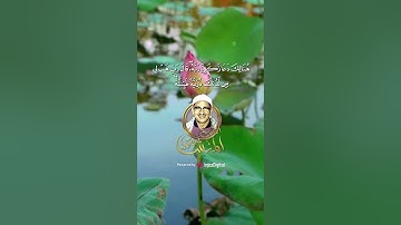 تلاوة بصوت ملائكي من السماء