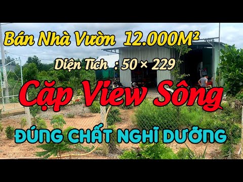 Tập 483 :( đã Bán)Nhà Vườn Nghĩ Dưỡng - Áo Cá - Vườn Cây Cực Đẹp Tiền Giang Tập 483 :( đã Bán)Nhà Vườn Nghĩ Dưỡng - Áo Cá - Vườn Cây Cực Đẹp Tiền Giang