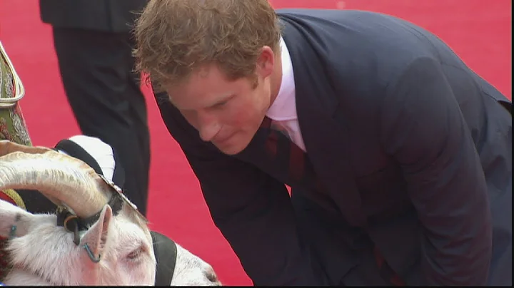 Prince Harry meets goat called Shenkin at Zulu scr...
