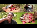 😋Survival in the forest - Cooking fish with chili sauce recipe and eating in forest tasty delicious😋