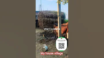 My House Nakkipur Colony Basti Kolasi Katihar Bihar Song Coversong 
