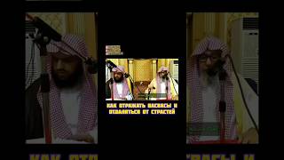 Как избавиться от васваса и страстей? Шейх Салих аль Фаузан #ислам #шайтан #джинн #фаузан #сунна
