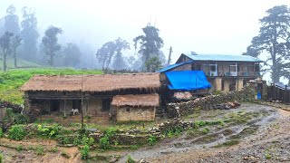 Most Peaceful and Relaxation Mountain Village Life | Rainy Day in Jiree Village | Real Nepali Life |