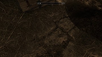 Skyrim Visual Glitch